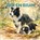 Rex en Bram in het lente bos, Kelly Black - Paperback - 9789403860794