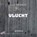 VLUCHT, ELLE WERNERS - Paperback - 9789403865829
