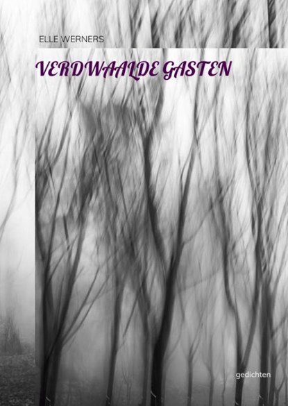 VERDWAALDE GASTEN, Elle WERNERS - Paperback - 9789403869612