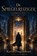 De Spiegelreiziger, Karin DragonBean - Paperback - 9789403874135