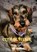 Cliff de Teckel, een hond van goud, Kitty Bloemheuvel - Paperback - 9789403882963