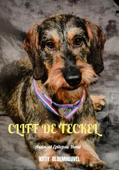 Cliff de Teckel, een hond van goud, Kitty Bloemheuvel - Paperback - 9789403882963