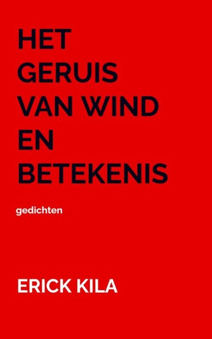 Het geruis van wind en betekenis, Erick Kila - Paperback - 9789403888040