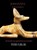 TERUGBLIK, Johannes Theodorus - Paperback - 9789403910819