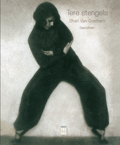 Tere stengels, Shari Van Goethem - Paperback - 9789460018220