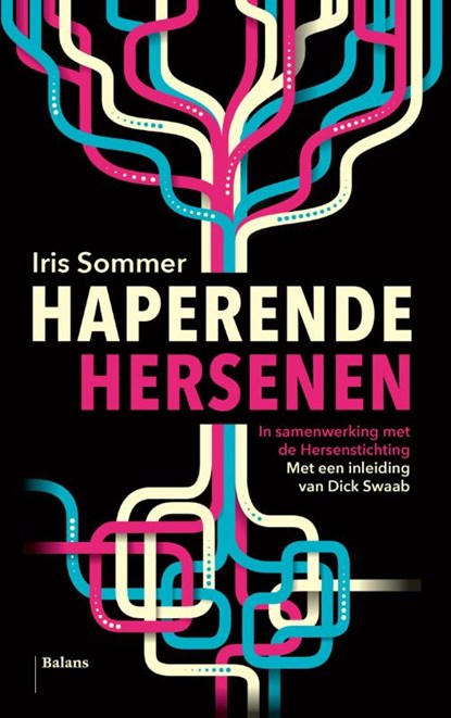 Haperende hersenen, Iris Sommer - Paperback - 9789460030581