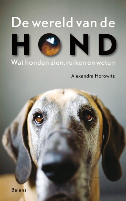 De wereld van de hond, Alexandra Horowitz - Paperback - 9789460032028