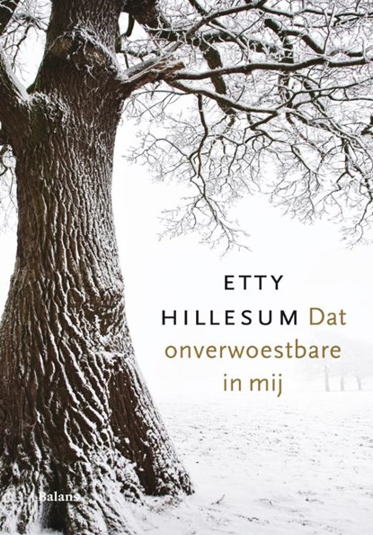 Dat onverwoestbare in mij, Etty Hillesum - Gebonden - 9789460033162