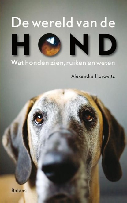 De wereld van de hond, Alexandra Horowitz - Ebook - 9789460034381