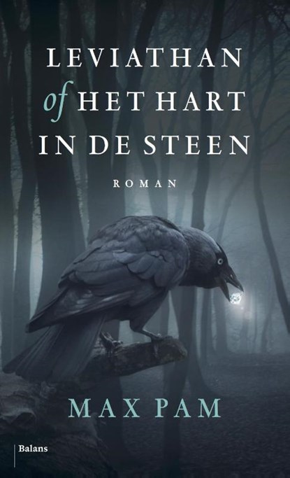 Leviathan of Het hart in de steen, Max Pam - Paperback - 9789460034565