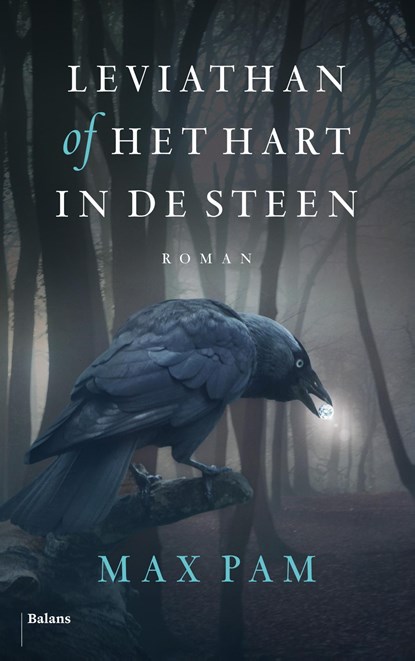 Leviathan of Het hart in de steen, Max Pam - Ebook - 9789460034572