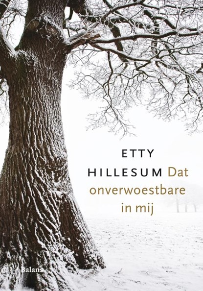 Dat onverwoestbare in mij, Etty Hillesum - Gebonden - 9789460038358