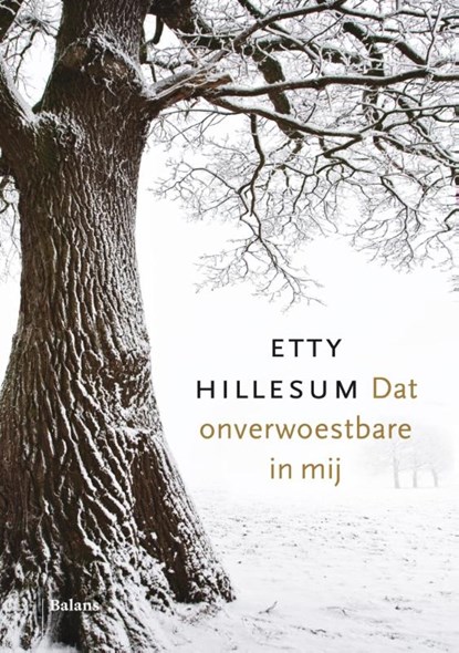 Dat onverwoestbare in mij, Etty Hillesum - Ebook - 9789460039454
