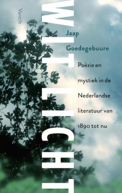 Wit licht, Jaap Goedegebuure - Paperback - 9789460042348
