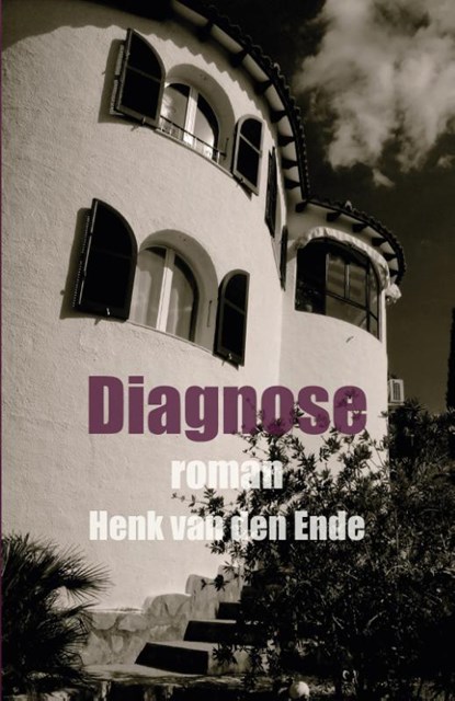Diagnose, Henk van den Ende - Paperback - 9789460082924