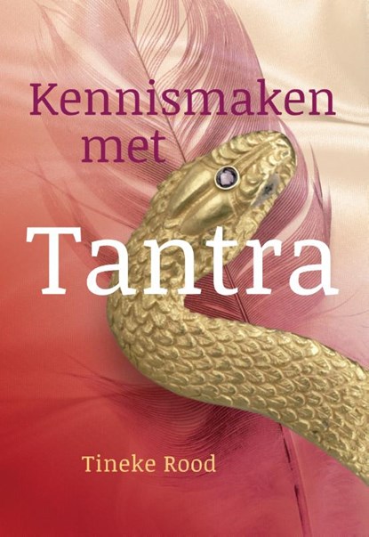 Kennismaken met Tantra, Tineke Rood - Paperback - 9789460151729