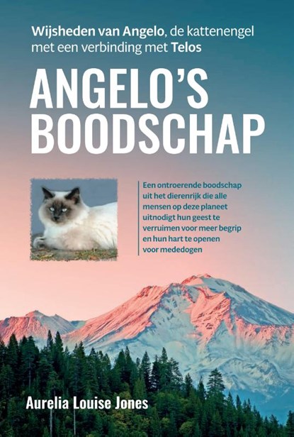 Angelo’s boodschap, Aurelia Louise Jones - Paperback - 9789460152078