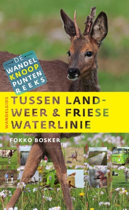 Tussen landweer & Friese waterlinie, Fokko Bosker - Paperback - 9789460224164