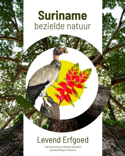 Surname, bezielde natuur, Tolin Alexander ; Marijke Besselink - Paperback - 9789460229480