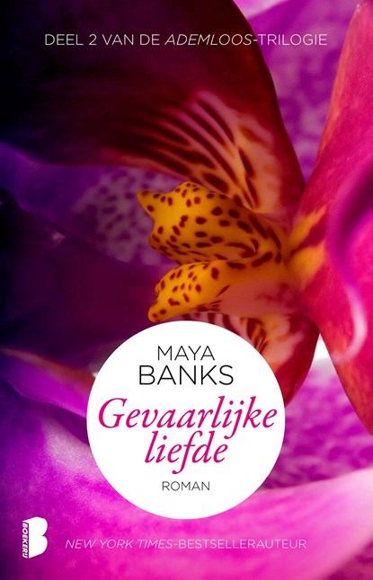 Gevaarlijke liefde, Maya Banks - Ebook - 9789460236143