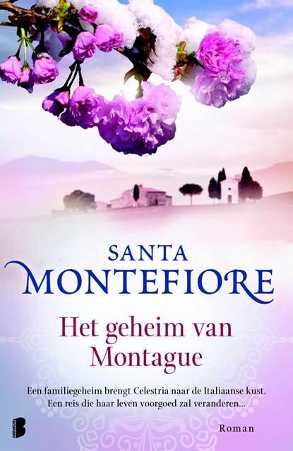 Het geheim van Montague, Santa Montefiore - Ebook - 9789460238666