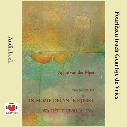 Twa novellen, Aggie van der Meer - Luisterboek MP3 - 9789460381607