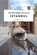 The 500 Hidden Secrets of Istanbul, Feride Yalav - Paperback - 9789460582424
