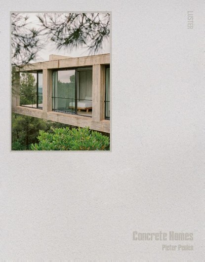 Concrete homes, Pieter Peulen - Gebonden - 9789460583902
