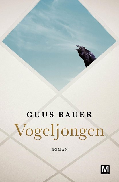 Vogeljongen, Guus Bauer - Ebook - 9789460688294