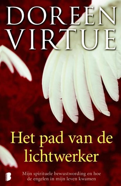 Het pad van de lichtwerker, Doreen Virtue - Ebook - 9789460925863