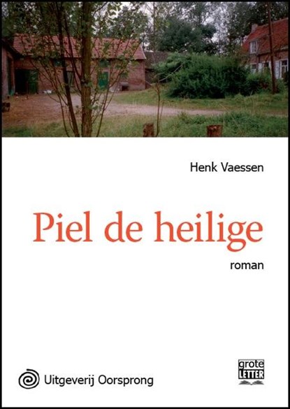 Piel de heilige, Henk Vaessen - Paperback - 9789461011633