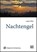 Nachtengel - grote letter uitgave, Lupko Ellen - Paperback - 9789461011787