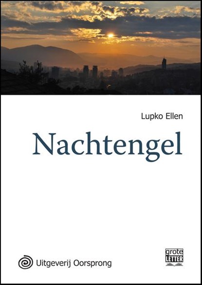 Nachtengel - grote letter uitgave, Lupko Ellen - Paperback - 9789461011787