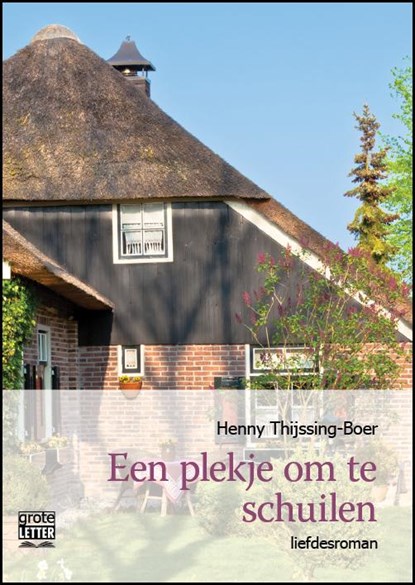 Een plekje om te schuilen - grote letter uitgave, Henny Thijssing-Boer - Paperback - 9789461012036