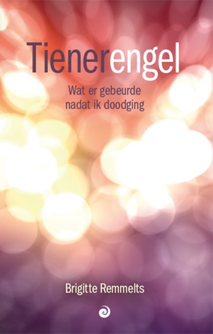 Tienerengel, Brigitte Remmelts - Paperback - 9789461013750