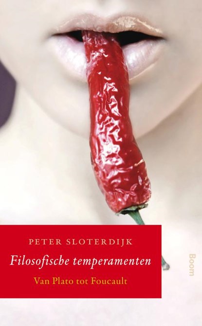 Filosofische temperamenten, P. Sloterdijk - Paperback - 9789461050076