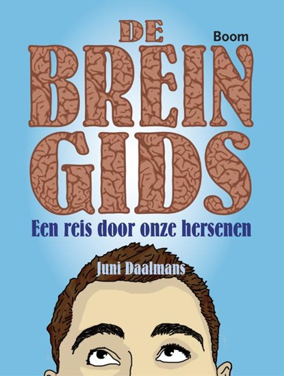 De breingids, Juni Daalmans - Paperback - 9789461052414