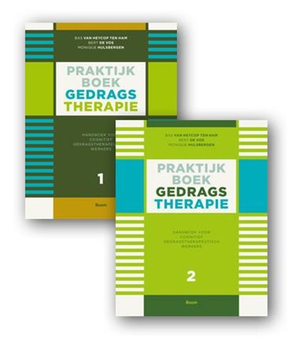 Praktijkboek gedragstherapie 1 en 2, Bas van Heycop ten Ham ; Bert de Vos ; Monique Hulsbergen - Gebonden - 9789461055057