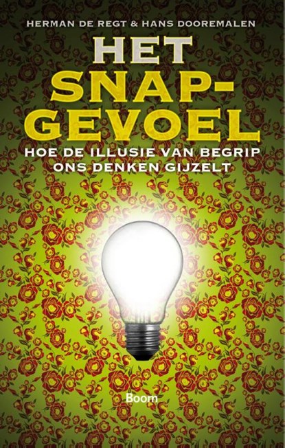 Het snapgevoel, Herman de Regt ; Hans Dooremalen - Paperback - 9789461056795