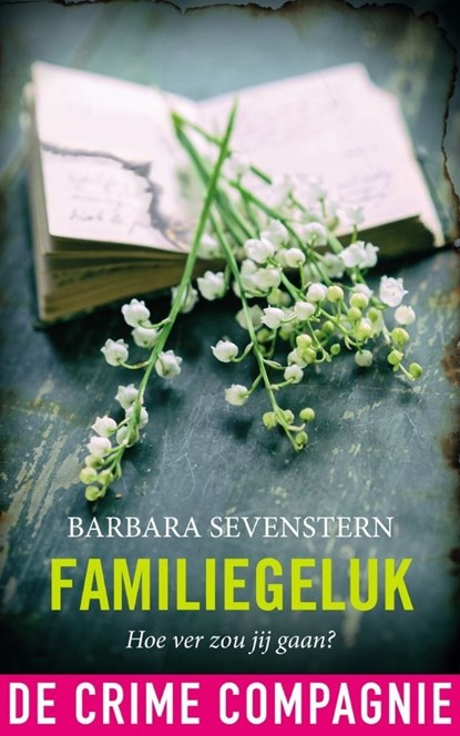 Familiegeluk, Barbara Sevenstern - Ebook - 9789461094179