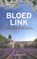 Bloedlink, Marianne Hoogstraaten ; Theo Hoogstraaten - Paperback - 9789461094230