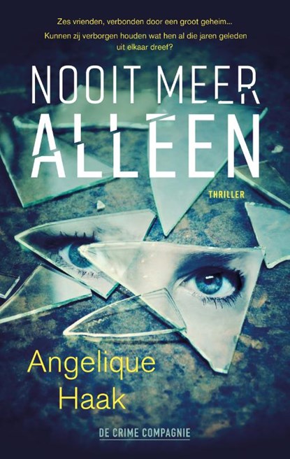 Nooit meer alleen, Angelique Haak - Paperback - 9789461094704