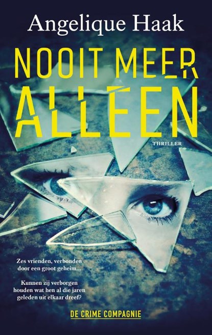 Nooit meer alleen, Angelique Haak - Paperback - 9789461096890