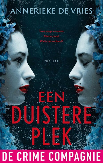 Een duistere plek, Annerieke de Vries - Ebook - 9789461098252