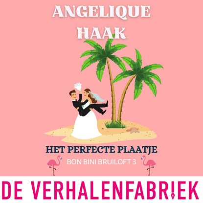 Het perfecte plaatje, Angelique Haak - Luisterboek MP3 - 9789461099983