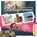 Studieplanner voor de basisschool 2023-2024, Mj Ruissen - Gebonden - 9789461152510