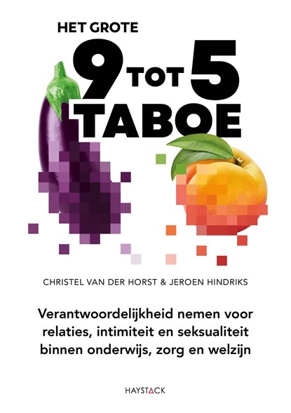 Het grote 9-tot-5-taboe, Christel van der Horst ; Jeroen Hindriks - Ebook - 9789461266002