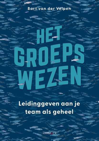 Het groepswezen, Bart van der Velpen - Paperback - 9789461266040