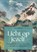 Licht op jezelf, Marjolijn Meijer - Paperback - 9789461266644