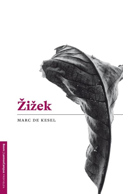 Zizek, Marc De Kesel - Ebook - 9789461274243